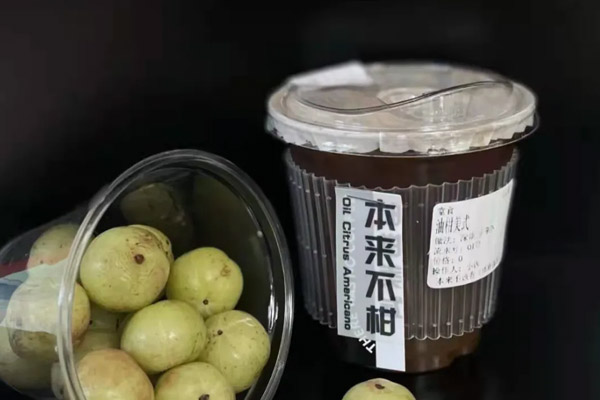 榴莲拿铁、油柑美式？水果咖啡大热，有门店最高日销900杯