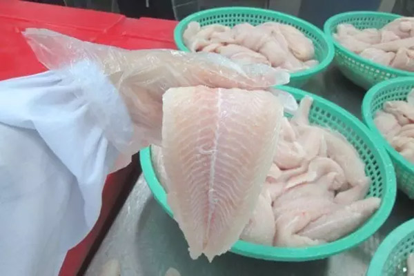巴沙鱼到底是什么鱼？不是龙利鱼啊喂！