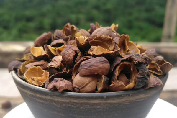 咖啡果皮也可以喝！除了咖啡还能做气泡茶